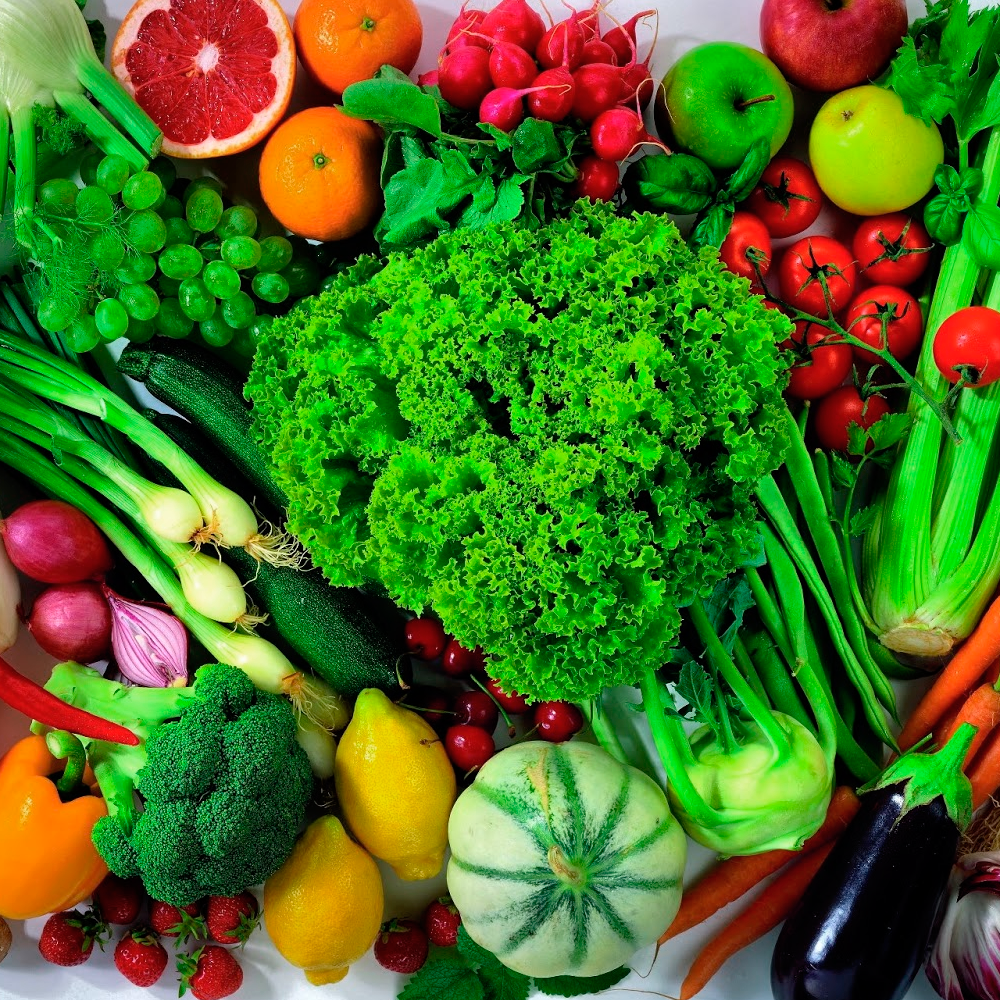 Agricultura Orgânica