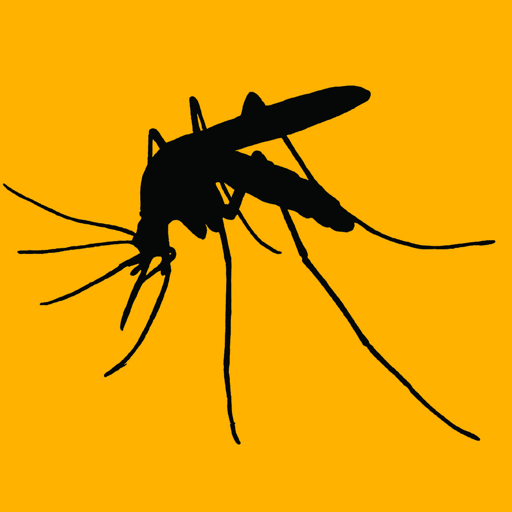 Dengue e Febre Amarela