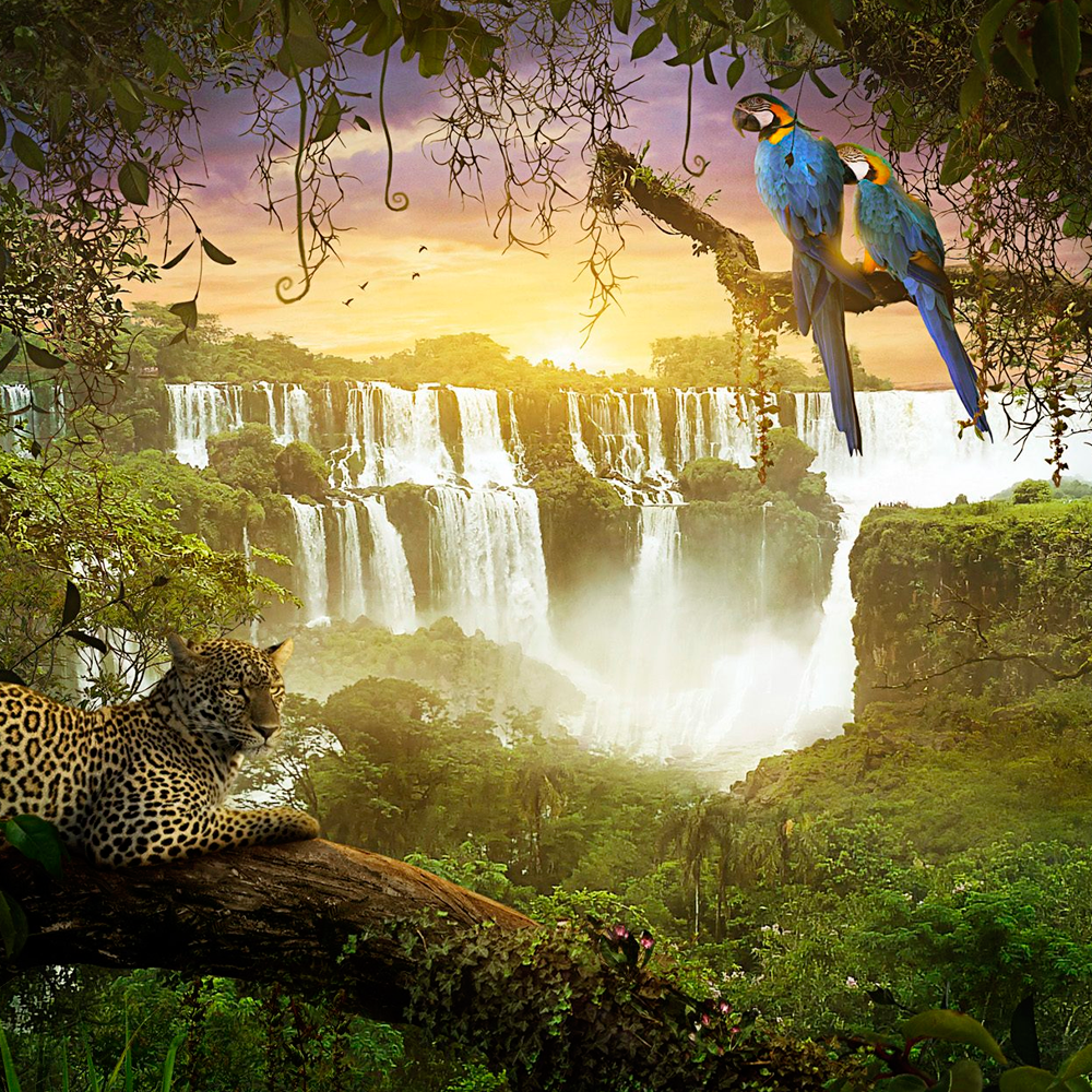 Dia da Amazônia